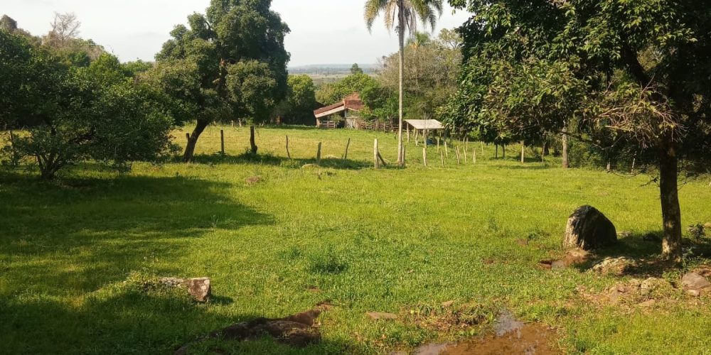08