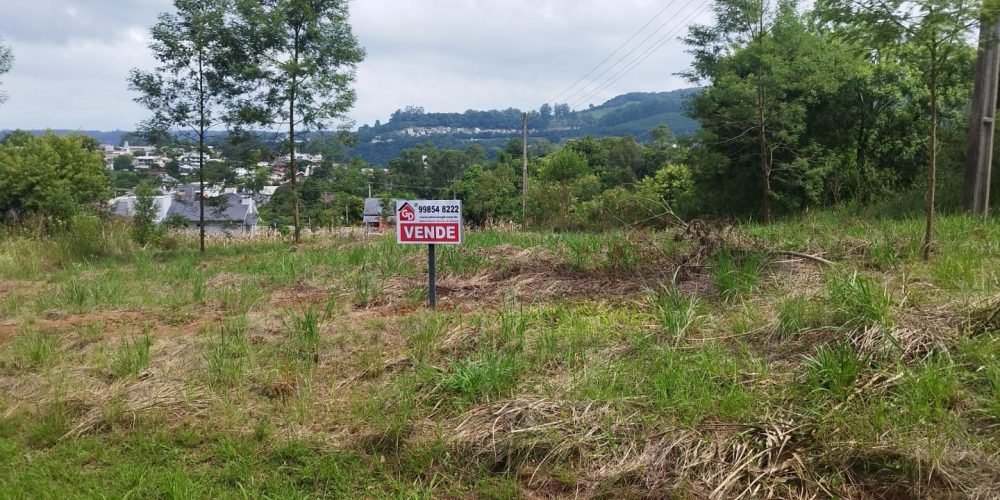 852f91a6-4585-4350-a761-32a1b97c713c