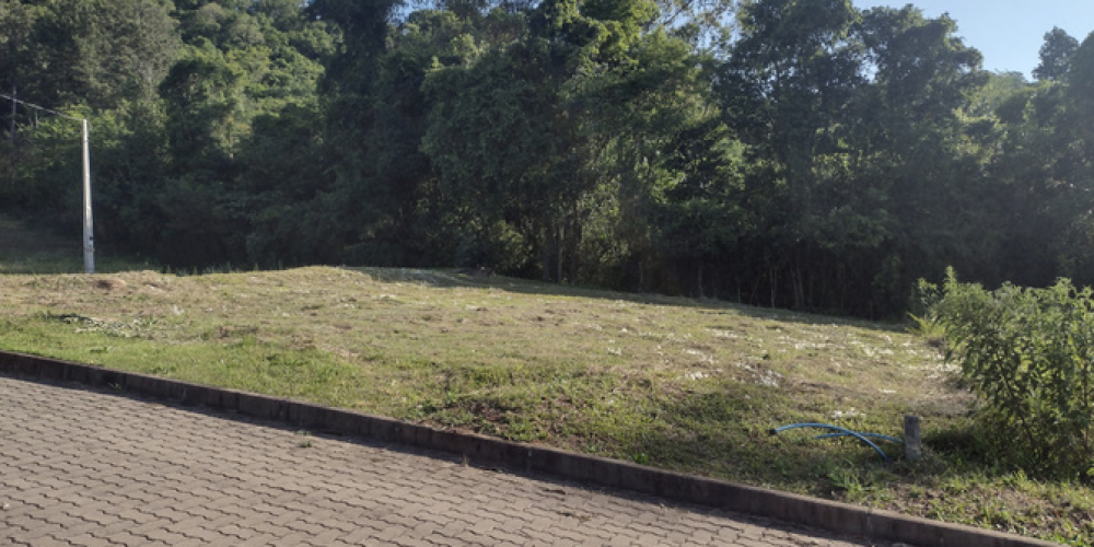 Captura de tela 2025-07-02 145744
