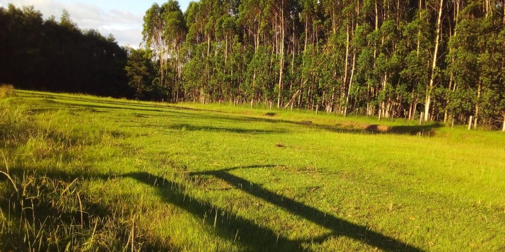 IMG-20240708-WA0018