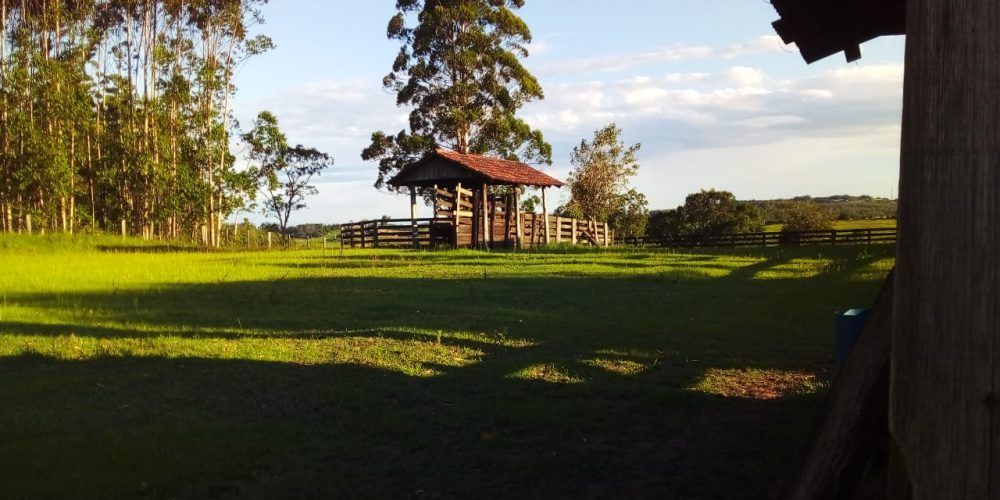 IMG-20240708-WA0019