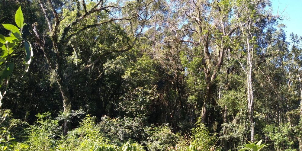 IMG_20200822_150322106