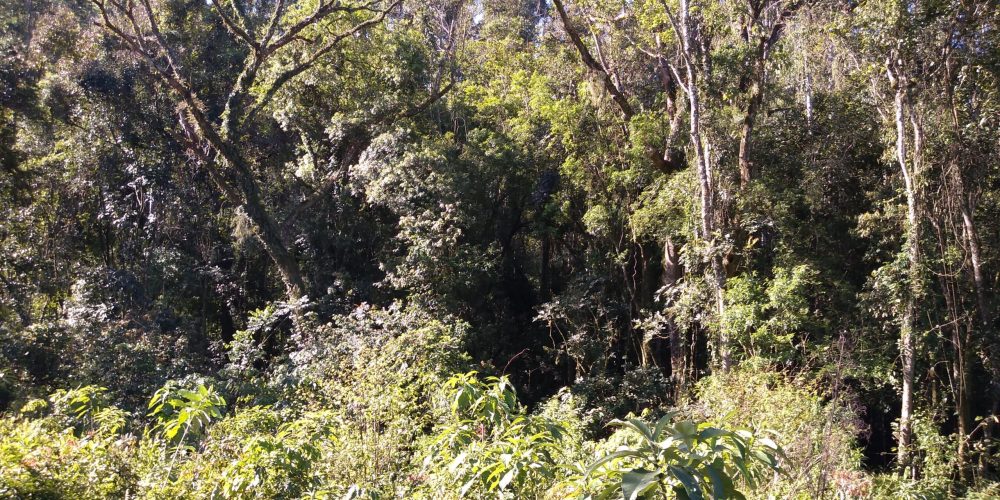 IMG_20200822_150402254