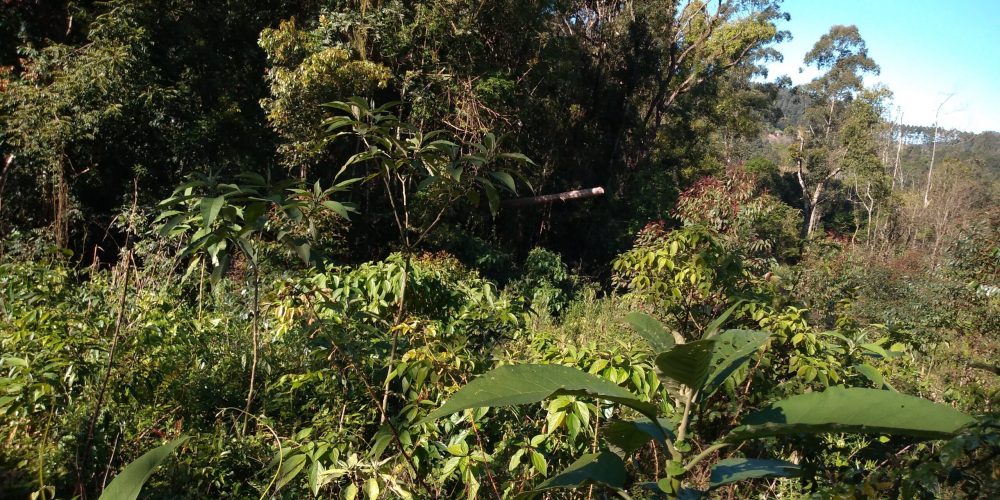 IMG_20200822_150411963