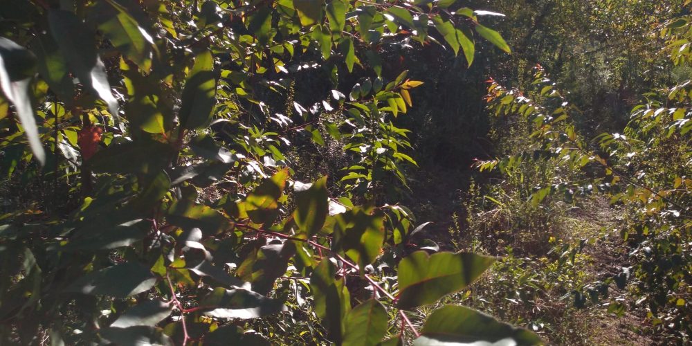 IMG_20200822_150433914