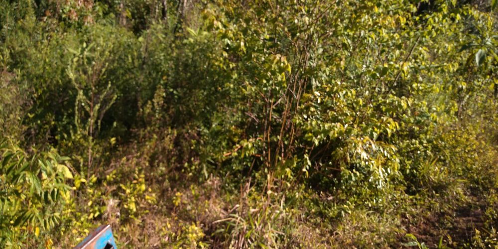 IMG_20200822_150503897