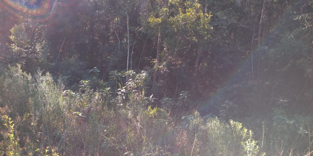 IMG_20200822_150657564