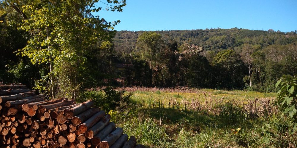 IMG_20200822_150844553