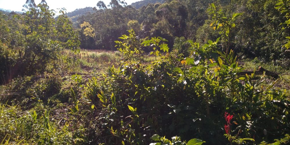 IMG_20200822_150951978