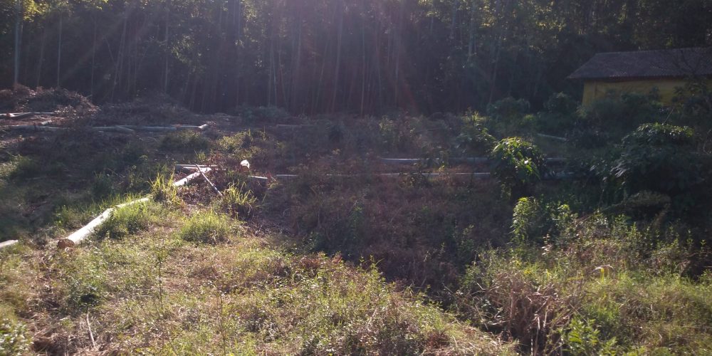 IMG_20200822_151248685