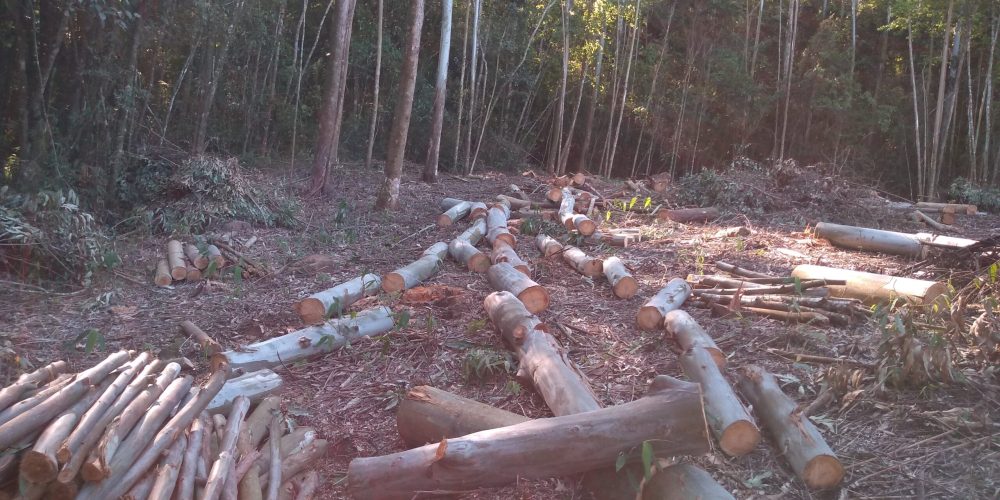 IMG_20200822_151540148