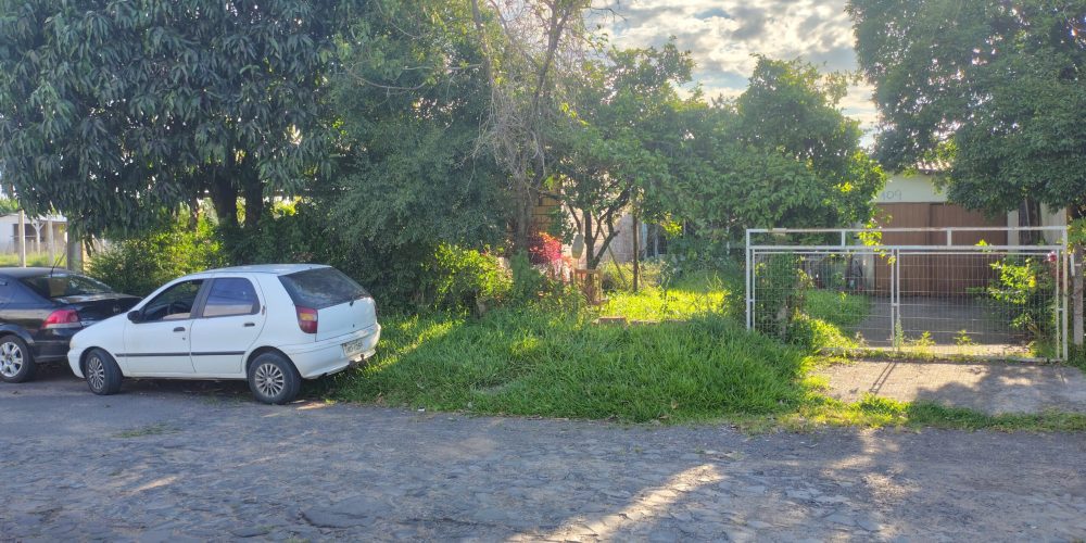 IMG_20260115_174753877_HDR