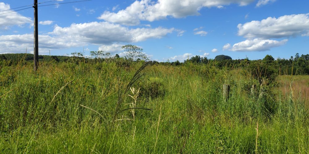 IMG_20260120_160314179_HDR