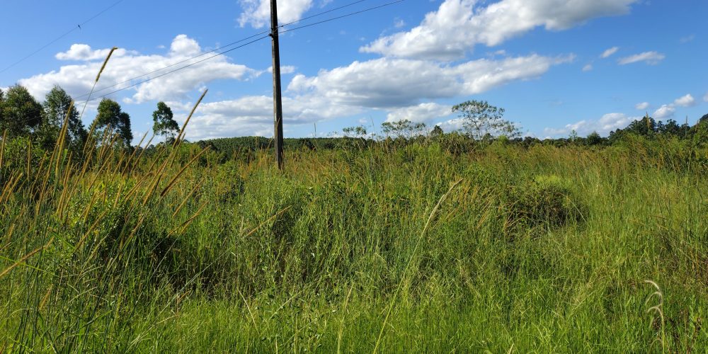 IMG_20260120_160425688_HDR