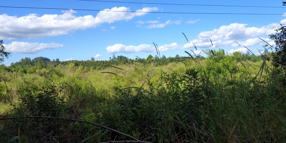 IMG_20260120_161338934_HDR