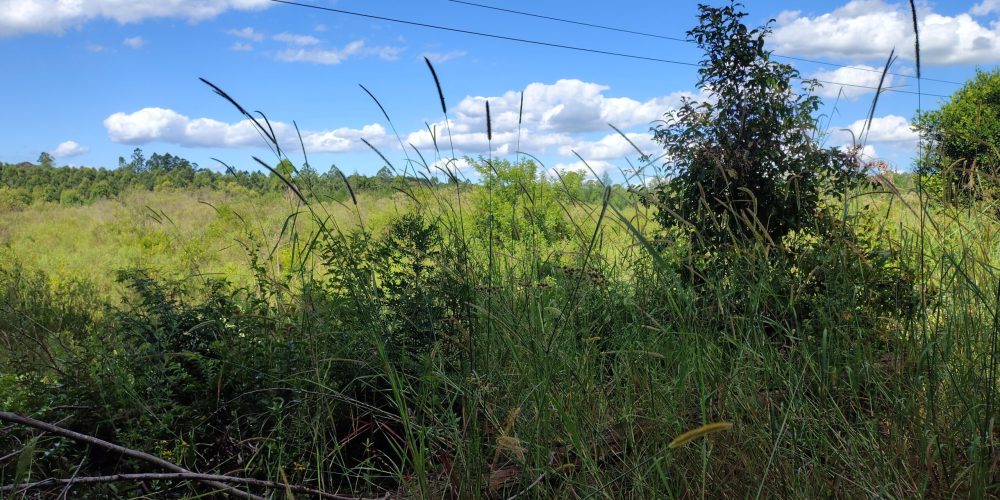 IMG_20260120_161342658_HDR