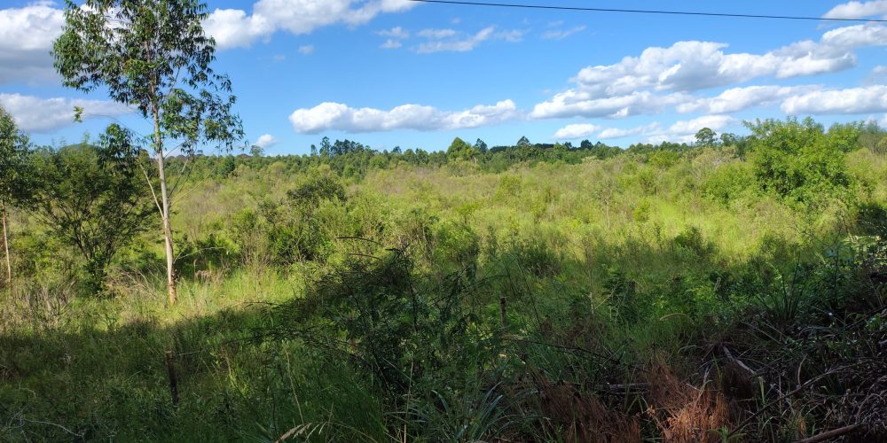 IMG_20260120_161403022_HDR