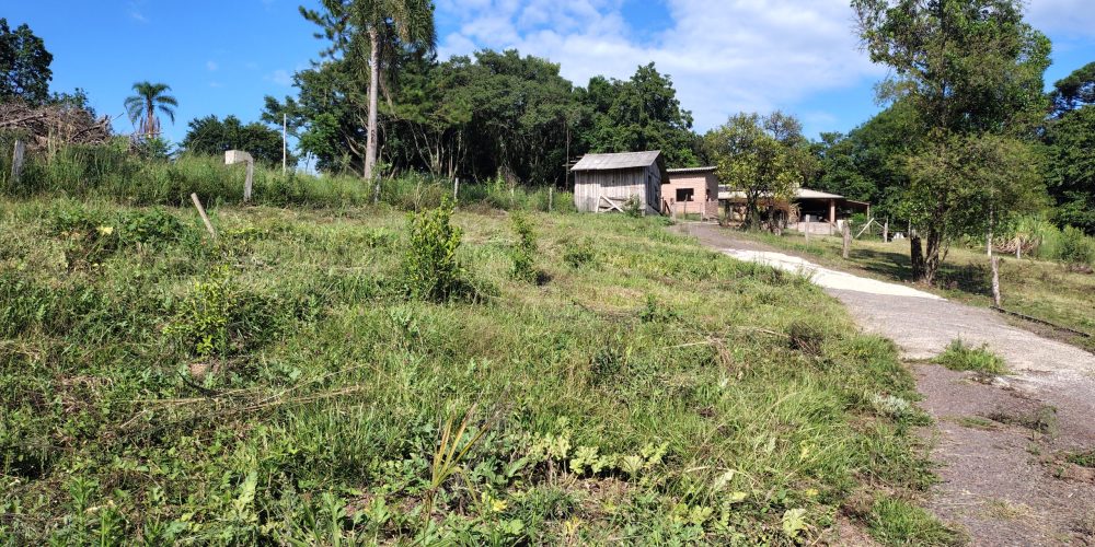 IMG_20260121_084259584_HDR