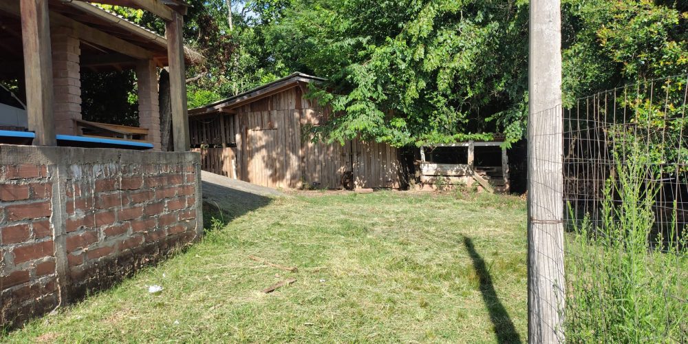 IMG_20260121_084535925_HDR