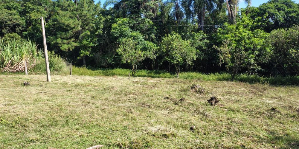 IMG_20260121_084727326_HDR