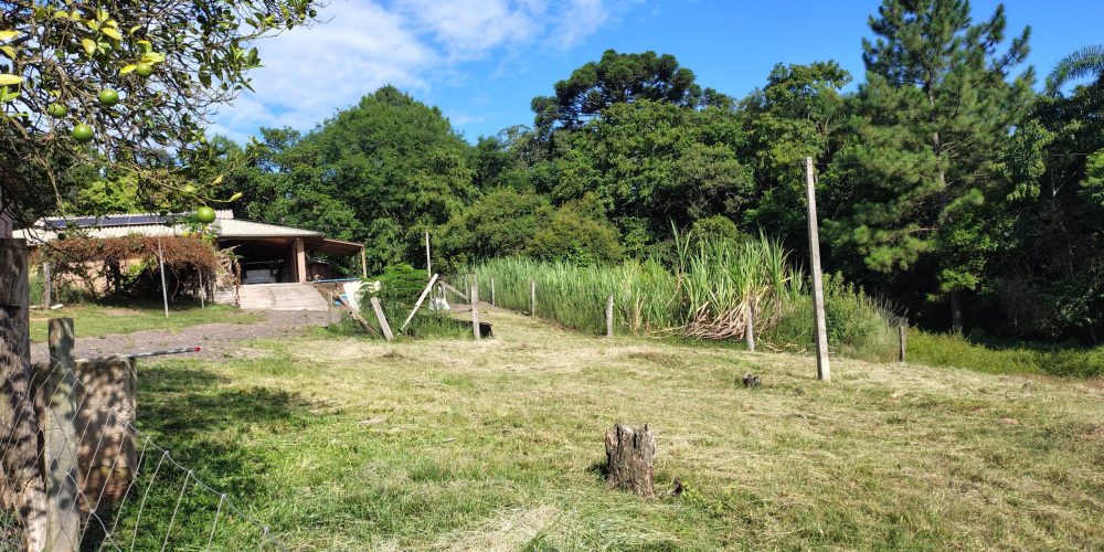 IMG_20260121_084734534_HDR