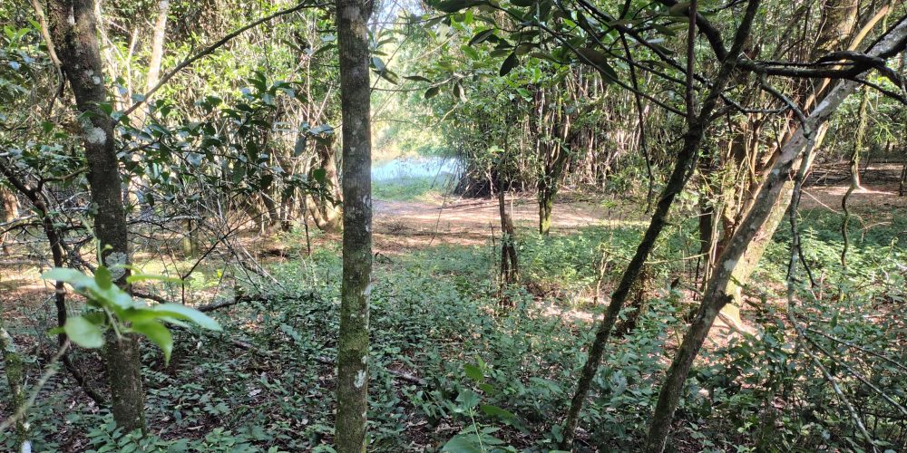 IMG_20260121_085244941_HDR