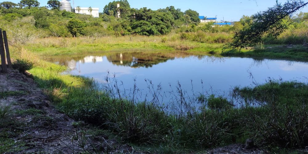 IMG_20260121_091119413_HDR