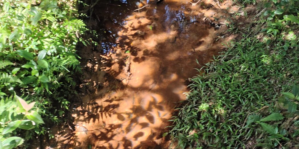 IMG_20260121_091534067_HDR