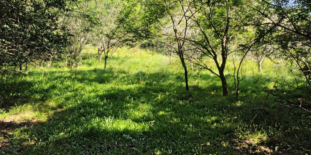 IMG_20260121_091626985_HDR