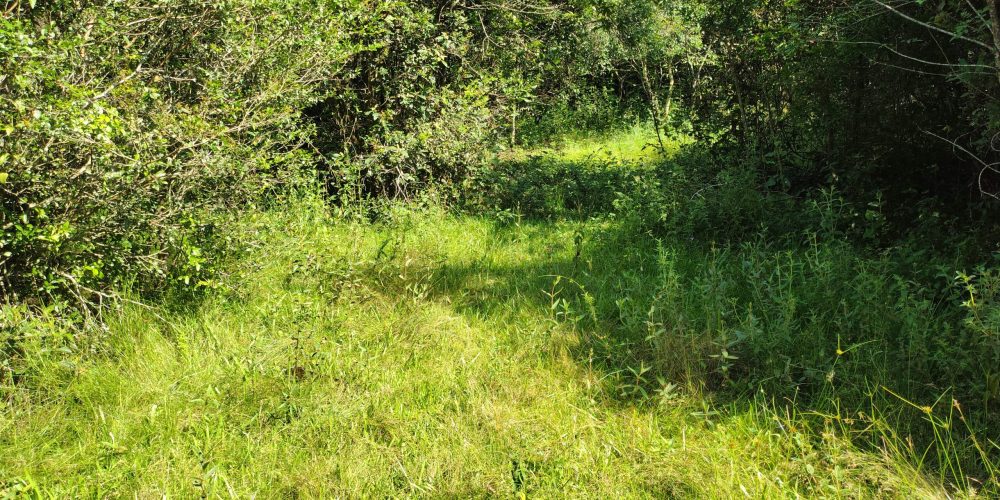 IMG_20260121_091827319_HDR