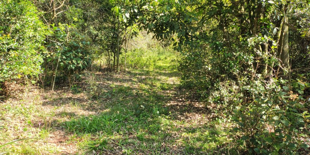 IMG_20260121_091958453_HDR