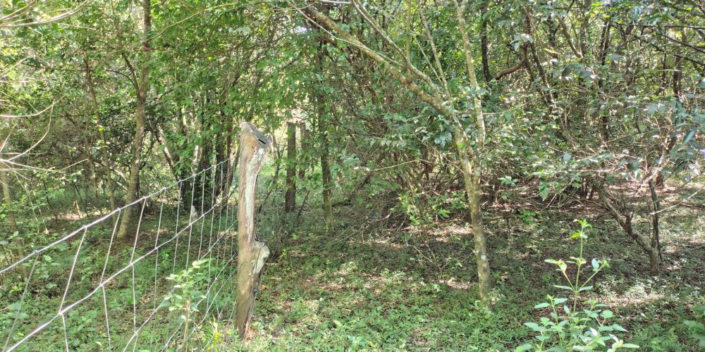 IMG_20260121_092315780_HDR