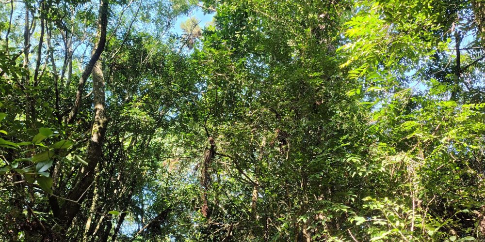 IMG_20260121_092828859_HDR