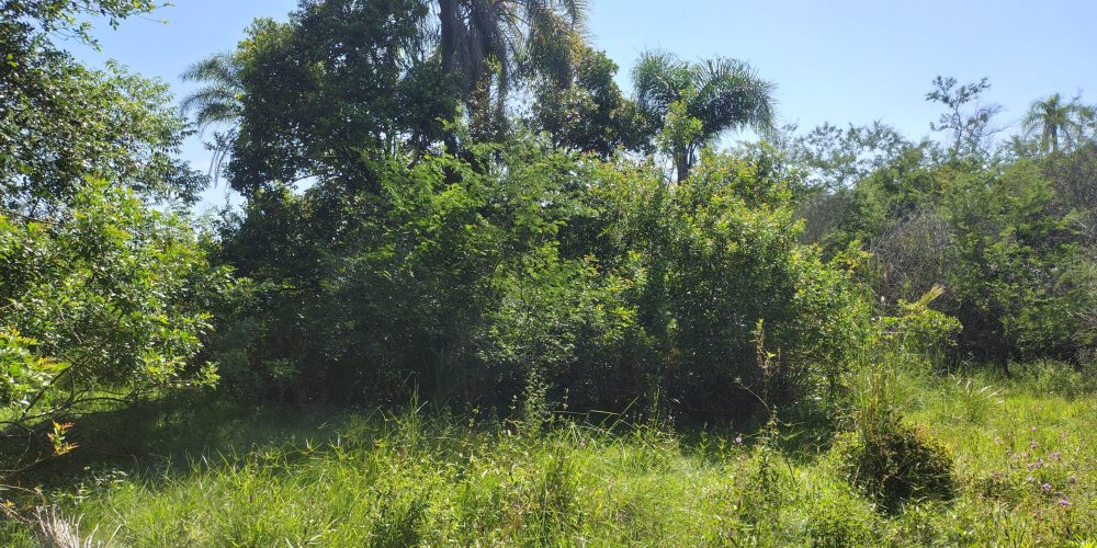 IMG_20260121_093213481_HDR