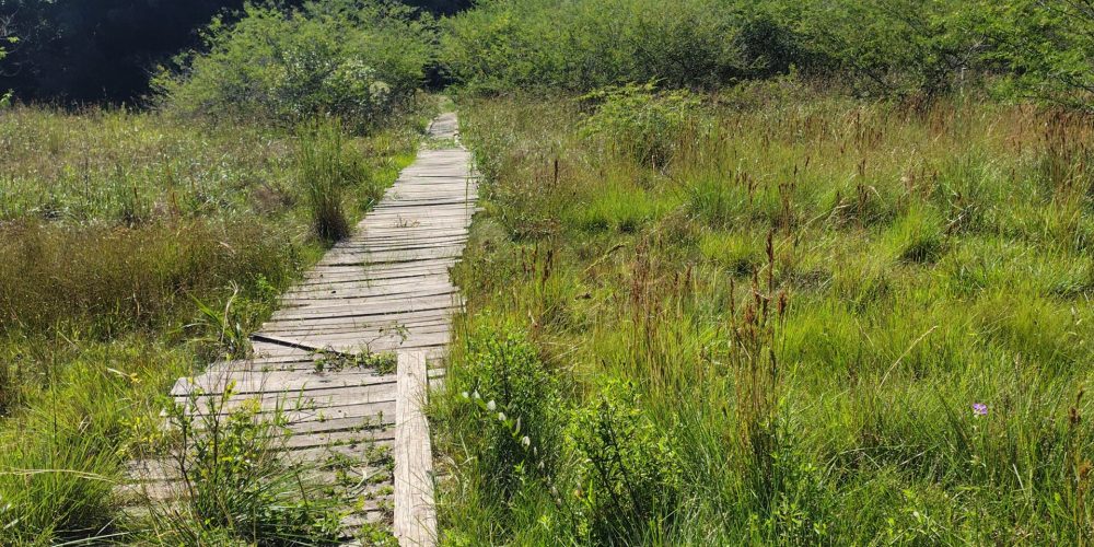 IMG_20260121_093612028_HDR