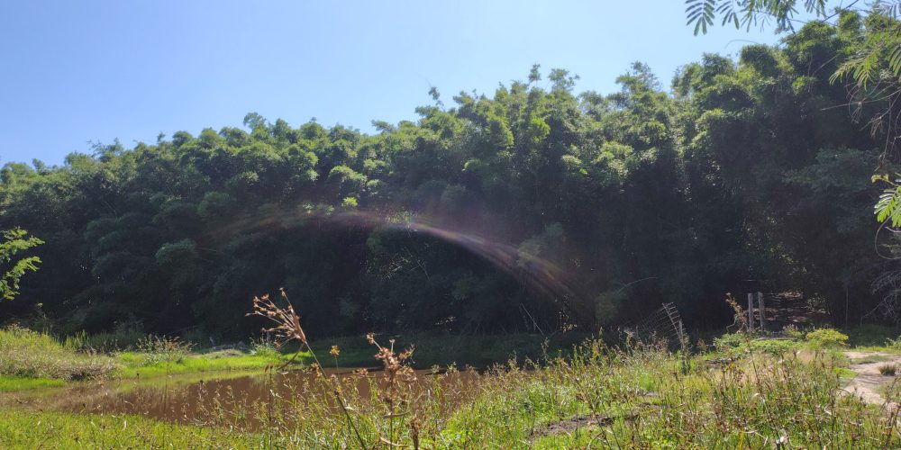 IMG_20260121_093706306_HDR