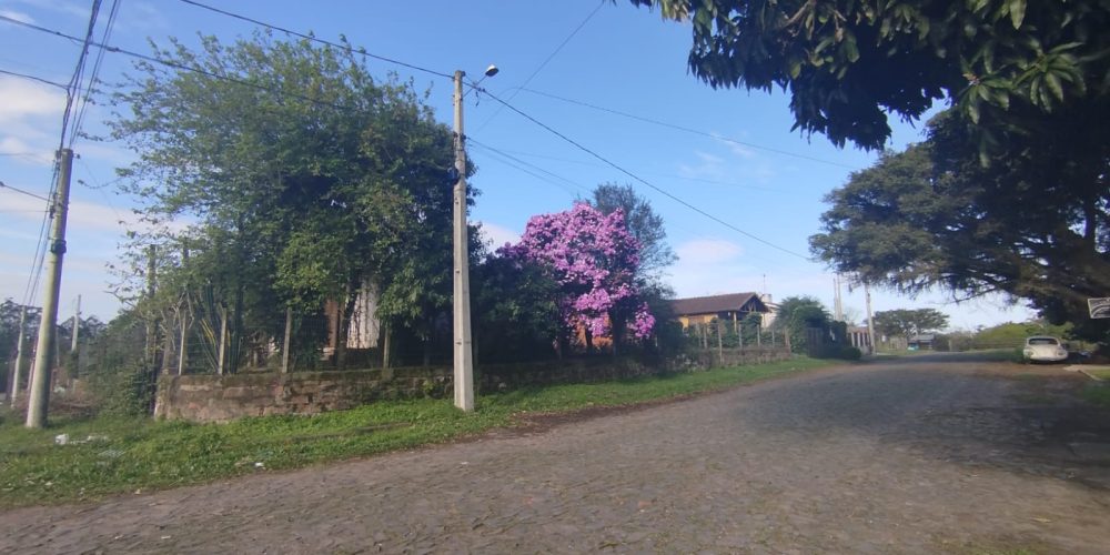 Imagem do WhatsApp de 2024-07-30 à(s) 15.29.32_0d525a7e