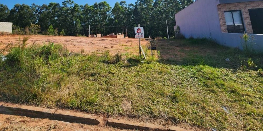 Imagem do WhatsApp de 2025-11-21 à(s) 16.34.22_d6a752e8