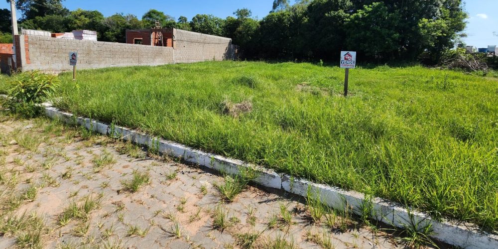 Imagem do WhatsApp de 2025-11-24 à(s) 16.56.38_72684630