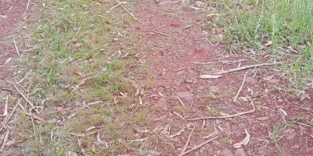 Imagem do WhatsApp de 2025-12-05 à(s) 10.21.04_2a84ea9a