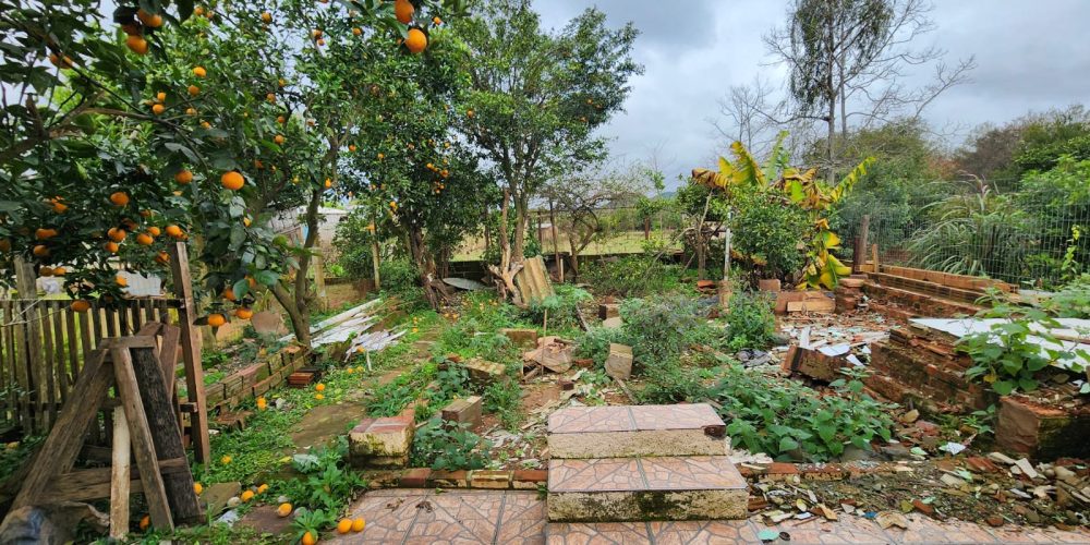 WhatsApp Image 2025-12-03 at 11.29.37 (3)