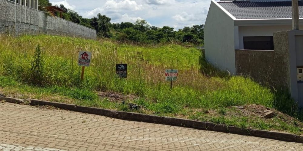 WhatsApp Image 2025-12-03 at 14.11.52 (2)