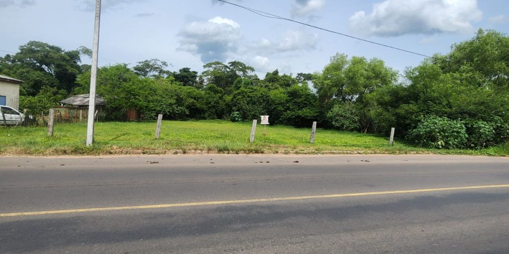 WhatsApp Image 2025-12-12 at 15.49.31