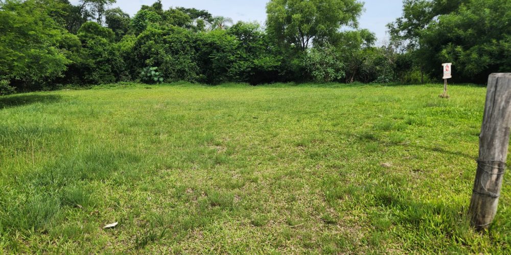 WhatsApp Image 2025-12-12 at 15.49.32 (1)