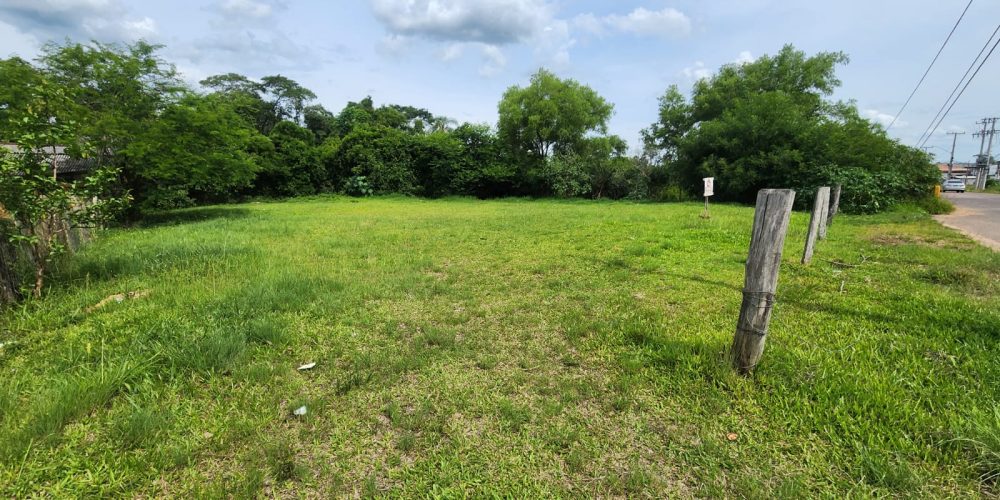 WhatsApp Image 2025-12-12 at 15.49.32