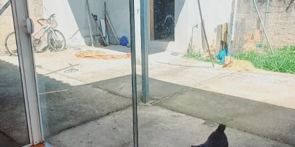 WhatsApp Image 2025-12-17 at 14.20.59