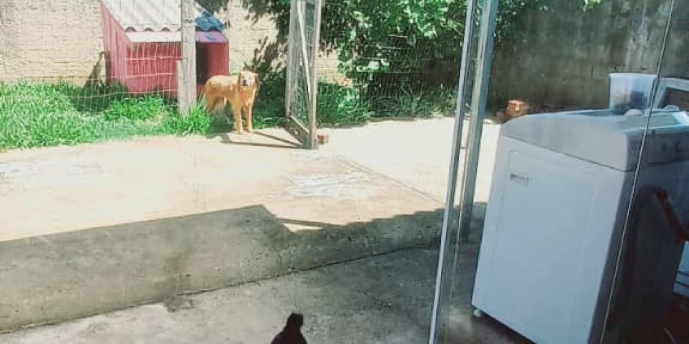 WhatsApp Image 2025-12-17 at 14.21.06