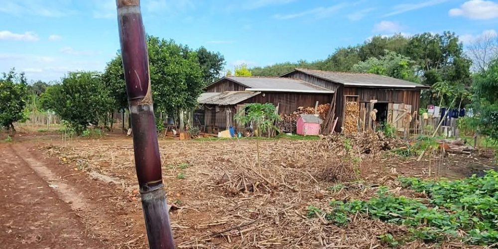 WhatsApp Image 2026-01-13 at 09.52.07 (2)