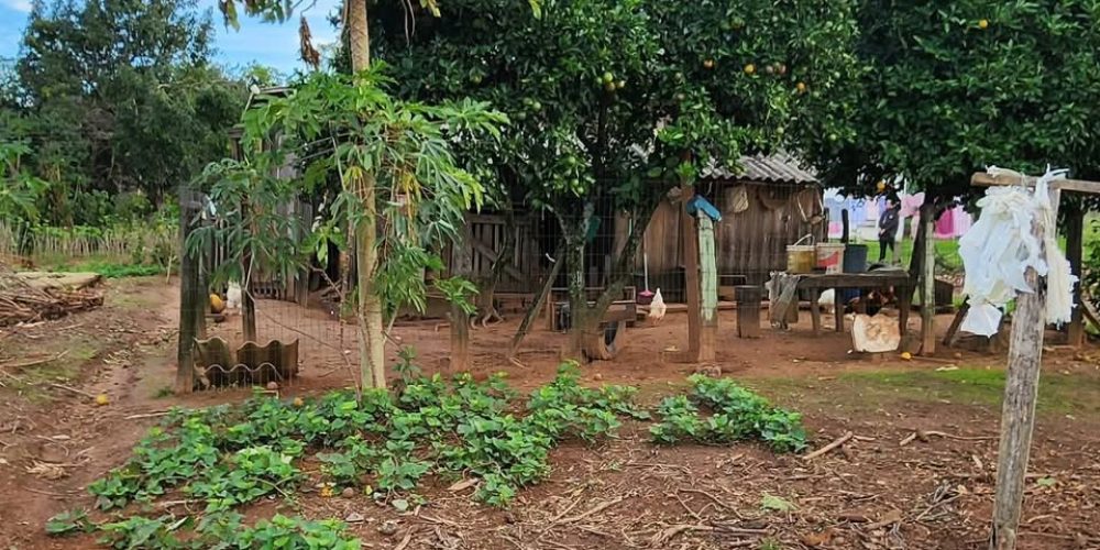 WhatsApp Image 2026-01-13 at 09.52.07 (3)