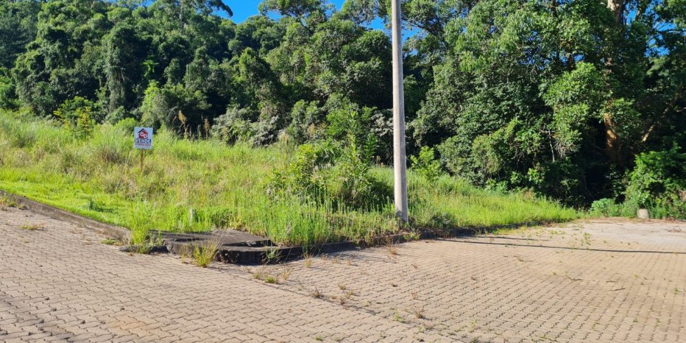 WhatsApp Image 2026-01-13 at 10.26.42 (1) - Editado